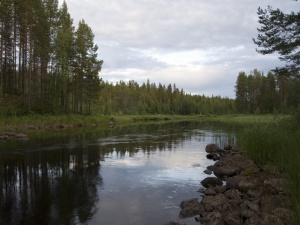 eman-sommarbild