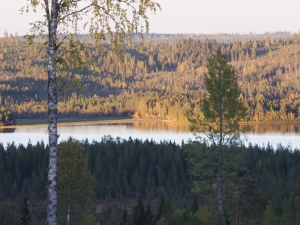 kvammarn1