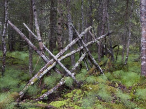 skihaga